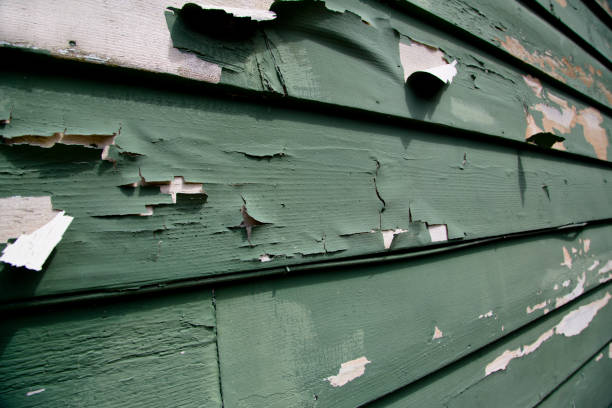 Best Residential Junk Removal  in Desert Hills, AZ