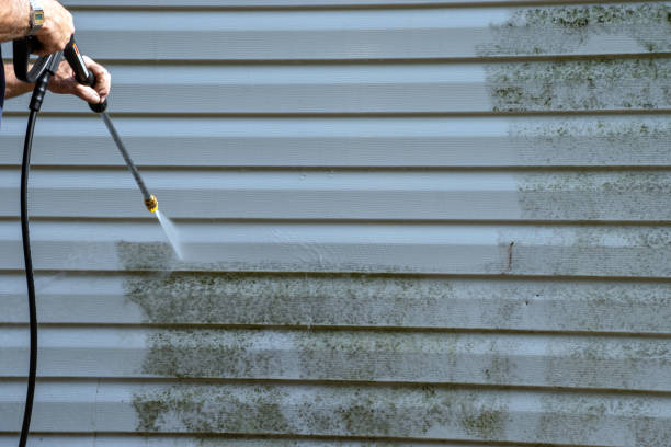 Best Demolition Debris Removal  in Desert Hills, AZ